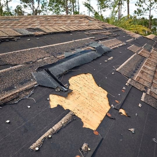 A storm damaged roof underlayment photo